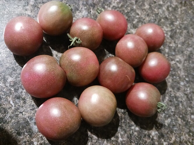 Chocolate Cherry Tomatoes