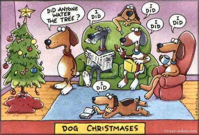 Dog Christmas