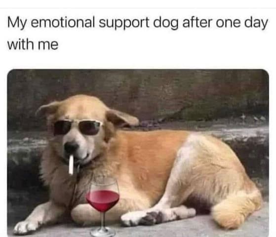Support doggy