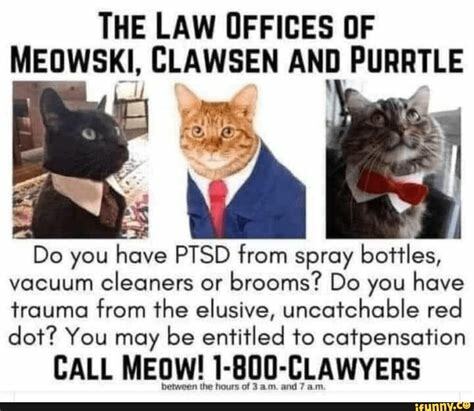 Cat Lawyers